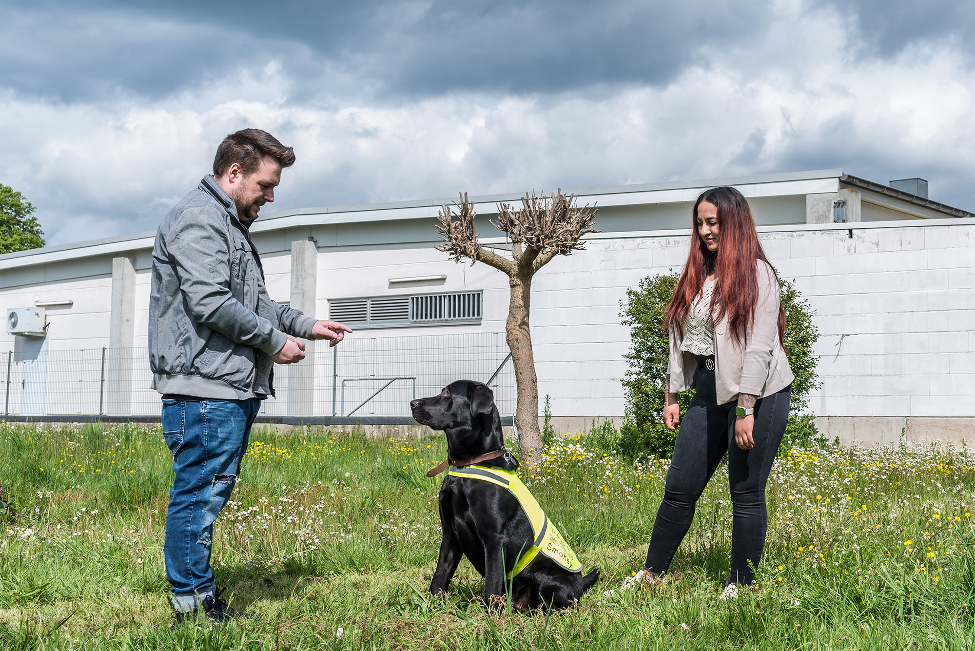 ABW - Arbeiten mit dem Therapiehund Das Bild zeigt zwei Personen und einen schwarzen Hund mit einer gelben Warnweste auf einer Grünfläche. Der Hund sitzt aufmerksam und blickt zu der Person auf der linken Seite, die eine Hand ausgestreckt hat, als würde sie dem Hund ein Kommando geben. Die Person trägt eine graue Jacke und Jeans. Rechts steht die zweite Person, die den Hund ebenfalls beobachtet. Sie trägt dunkle Kleidung und hat lange, rotbraune Haare. Der Himmel ist bewölkt, und die Wiese ist mit kleinen Blumen übersät. Die Szene vermittelt den Eindruck von einem Training oder einer Interaktion mit einem Assistenz- bzw. Therapiehund in einer ruhigen Umgebung.